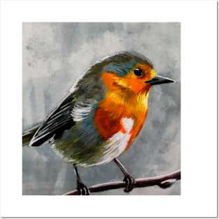 European Robin Posters and Art